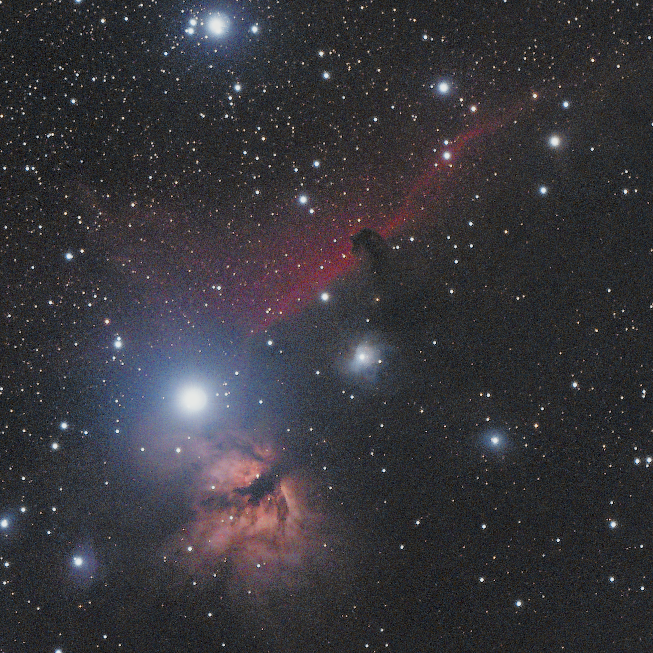 Horsehead and Flame Nebulae
